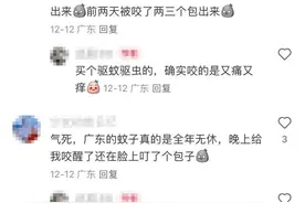 广东网友抓狂：这么冷的天，怎么它还在！图片