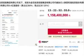 罕见！秦农银行6.4亿股股权加价近七成再次法拍，发生了什么？图片