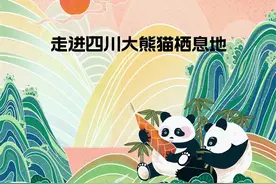 走进四川大熊猫栖息地图片