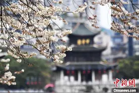 贵州大部分地区气温回升 民众争相“晒太阳”图片