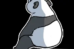 有福同享！福宝生日会，“顶流”全动起来了！图片