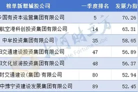 最新排名！河南127家城投公司发展力指数公布图片