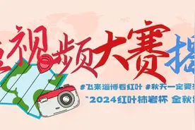 “2024红叶柿岩杯•金秋拍淄博”抖音短视频大赛获奖结果出炉图片