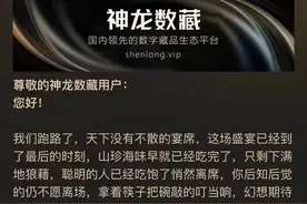 神龙数藏平台回应称“跑路”不实，曾被西安一博物馆、头部数藏平台打假图片
