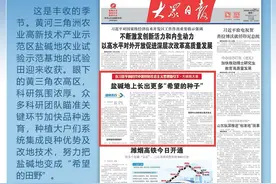 瞄准关键环节加快品种选育，山东把盐碱地变“希望的田野”图片