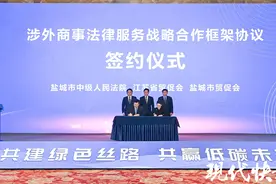 共商国际合作！江苏这场跨国投资研讨会在盐城举行图片