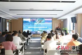 让城市会“呼吸” 武汉市洪山区全力推进海绵城市建设图片