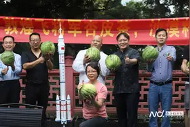 祁连雪水出好味，酒泉加速打造大湾区“菜篮子”供应基地图片