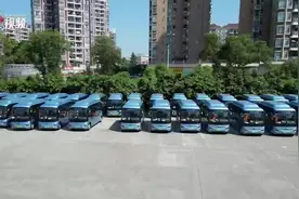 视频｜新款萌巴到货！来看“小青鸟”如何便民图片