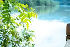 车程29min 贼近！免费！清凉！家门口的避暑撒欢路线，沿溪追风去~图片
