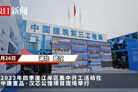 江岸区一批重点项目集中开工！涉及新兴产业、城市更新、民生改善……图片