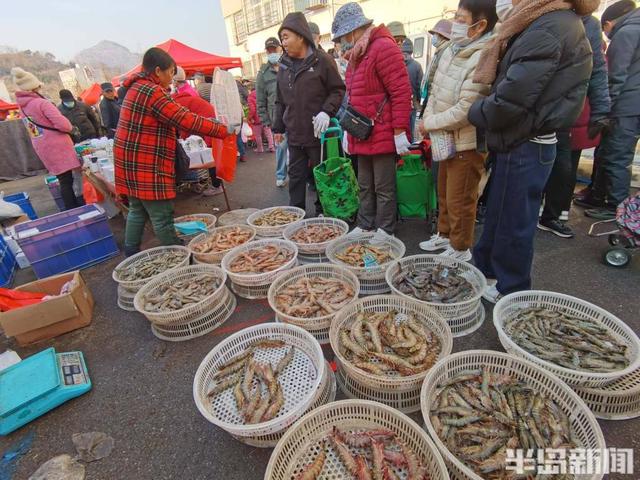 青岛鳗鱼干多少钱一斤 2026年青岛鳗鱼头多少钱一吨