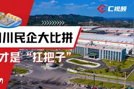 C视觉·小象丨四川民企大比拼，谁是“扛把子”？图片