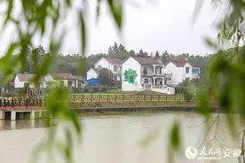 郎溪建平镇：执“和美”之笔 绘振兴画卷图片