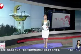 河南一县花七百万造牛郎织女雕塑 为何引争议？视频封面