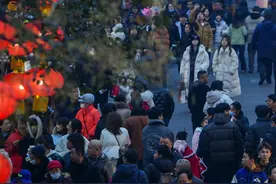 ​元宵节夫子庙景区22万人次观灯图片