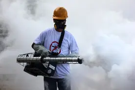 2025年巴西登革热感染病例超58万 死亡病例升至296例图片