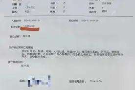 超40只宠物狗疑似中毒死亡，谁该担责？图片