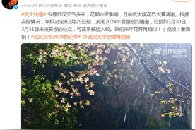 武汉大学关闭赏樱预约通道 校内樱花已大量凋谢图片