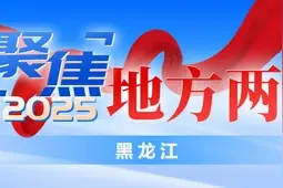 【两会＠你】黑龙江省人大代表王镭：创新贸易业态 打造边境口岸现代化产业体系图片