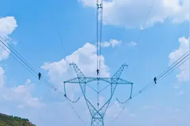 高温“烤”验下 “电力蜘蛛侠”百米高空走线图片