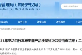 【山东】2023年电动自行车充电器产品质量省级监督抽查结果（二）图片