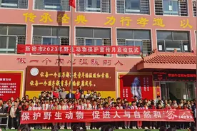 苍鹭、果子狸回家啦！银基动物王国已累计将千余只被救助野生动物放归自然图片