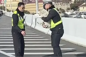 事发上海高架，这位交警也太温柔了吧！全网在找，后续来了图片