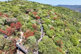 1天2次登上央视 麒麟区文旅产业火爆出圈图片
