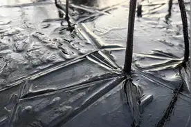 明天冷空气南下！浙江“冰冻”加强版开启！周末日均气温不足1℃！图片