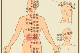 “夏天开背，人活百岁”，中医力荐的4个养背方法，用起来图片