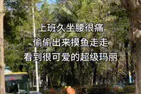 哈哈哈哈哈哈哈哈！在深圳街头偶然录下的一幕，获全网怒赞图片