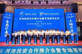 第20届东博会河池市签约158个项目 总投资662.54亿元图片
