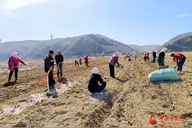 华亭：抢抓好时光 种出致富路图片