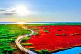 海上游辽宁｜这4条海洋线路，怎么“游”都有面！图片