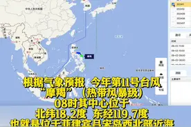 “摩羯”来了，最大风力17级！或将停航停运！图片