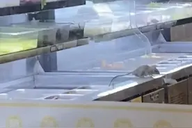 惊现老鼠，全部下架！杨国福突然被曝！曾冲刺麻辣烫第一股图片