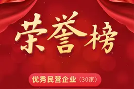 榜单出炉！宁夏隆重表彰这些优秀民营企业和优秀民营企业家图片
