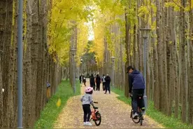 周末去哪玩 | 这几条骑行路线带你穿越“秋天童话”！一起出发~图片