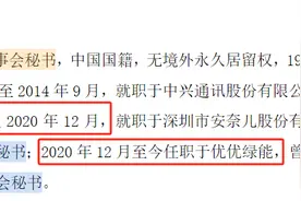 优优绿能IPO注册生效叩门时刻现隐忧 外销萎缩拖累净利首降图片