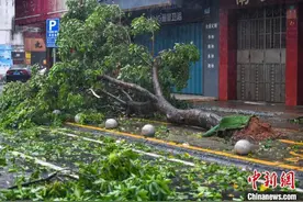 超强台风“摩羯”袭击海南：楼房明显晃动，小车被风掀翻图片
