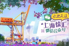 本市汽车置换更新补贴政策发布，来看实施细则→图片