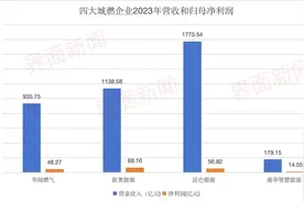 四大城燃公司去年净赚188亿，非燃业务成为新增长点图片