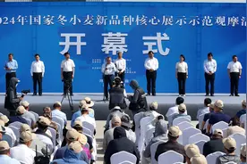 100多个小麦品种亮相中原农谷图片