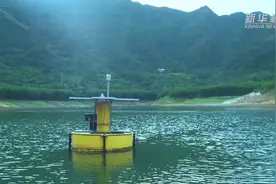 走近秦岭深处的“护水人”图片
