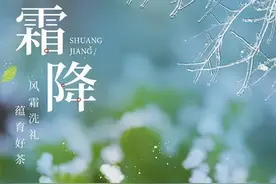 霜降好“食”光 · 自制川贝雪梨膏图片