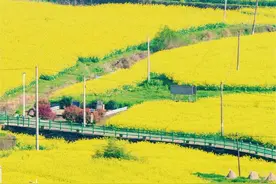 五一去“村”游吧！宁波这几个乡村网红打卡点，等你来解锁图片