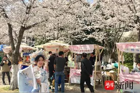 花开不待人，快来扬州“网红大道”，陪伴一树一树樱花开图片