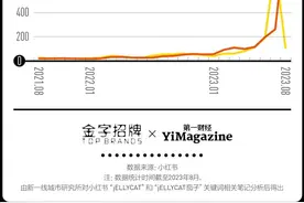 上百元的jELLYCAT，怎么成了成年人戒不掉的玩具？图片