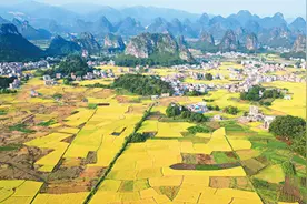 霜降：秋已向晚，平补御寒图片